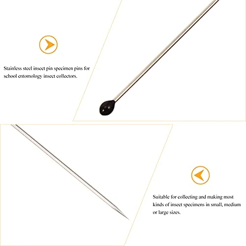 Baluue Wedding Decor Wedding Decor Wedding Decor 200Pcs Stainless Steel Specimen Entomology Dissection Collections Needle For School Collectors Wedding Stuff Wedding Stuff Wedding Stuff - Image 6