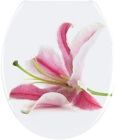 WENKO Toilet Seat Orchid-rustproof Stainless Steel Mounting, 37.5 X 44.5 X 10 Cm, Multicolor - Image 6