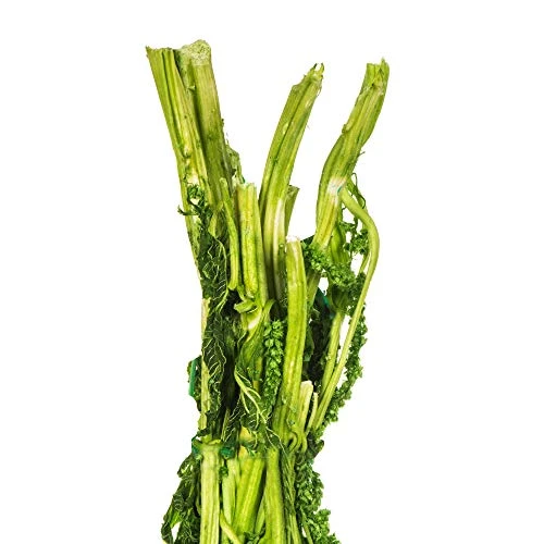 Vickerman Spring Green Amaranthus Bundle 30" Long, Real Preserved Foliage Decor For Home Or Everyday Arrangements, 7-8 Oz Per Bundle - Image 4