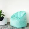 Big Joe Milano Bean Bag Chair, Mint Plush, 2.5ft