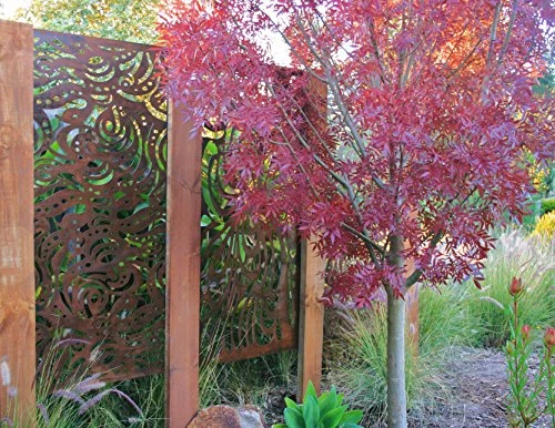 Versace Natural Screens By Be Metal Be Vine Laser Cut Decorative Steel Screen / Panel - Image 5